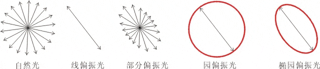 什么是偏振光？偏振光是如何完成檢測(cè)的？