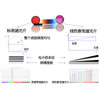 線性漸變?yōu)V光片是什么？有何特點？