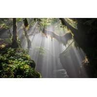 光的干涉、衍射、折射、反射、散射